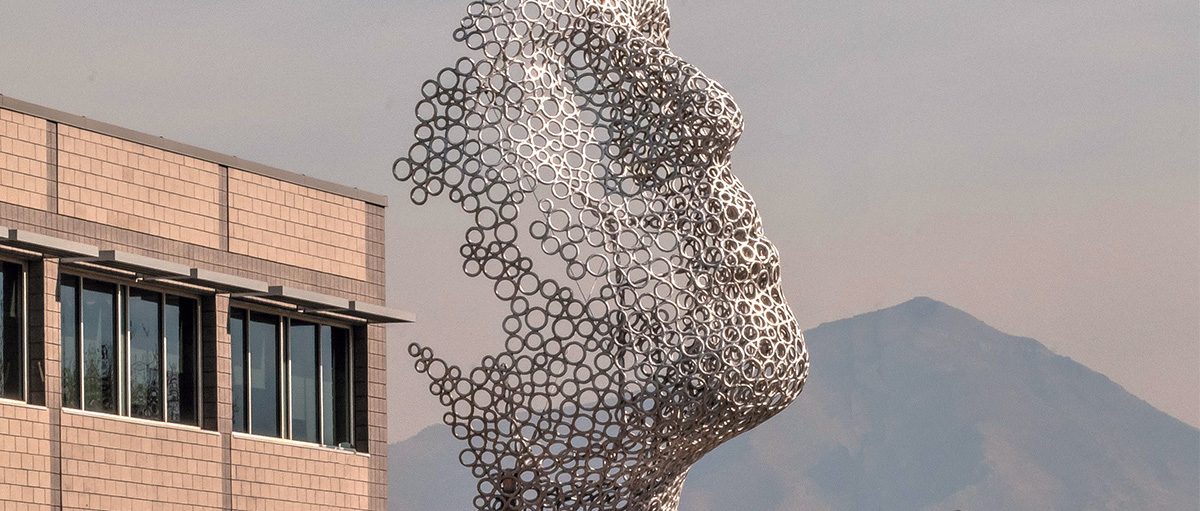 A mesh-looking statue of a face.