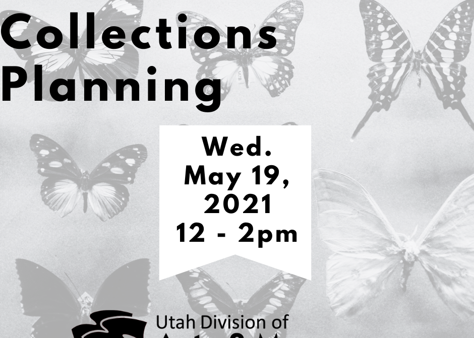 A graphic that reads, "Museum Skills Lab Collections Planning. Wed. May 19, 2021 12-2 p.m."